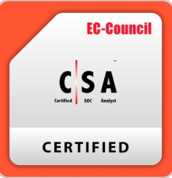 CSA Logo