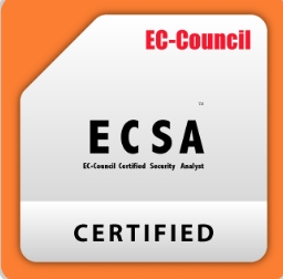 ECSA Logo